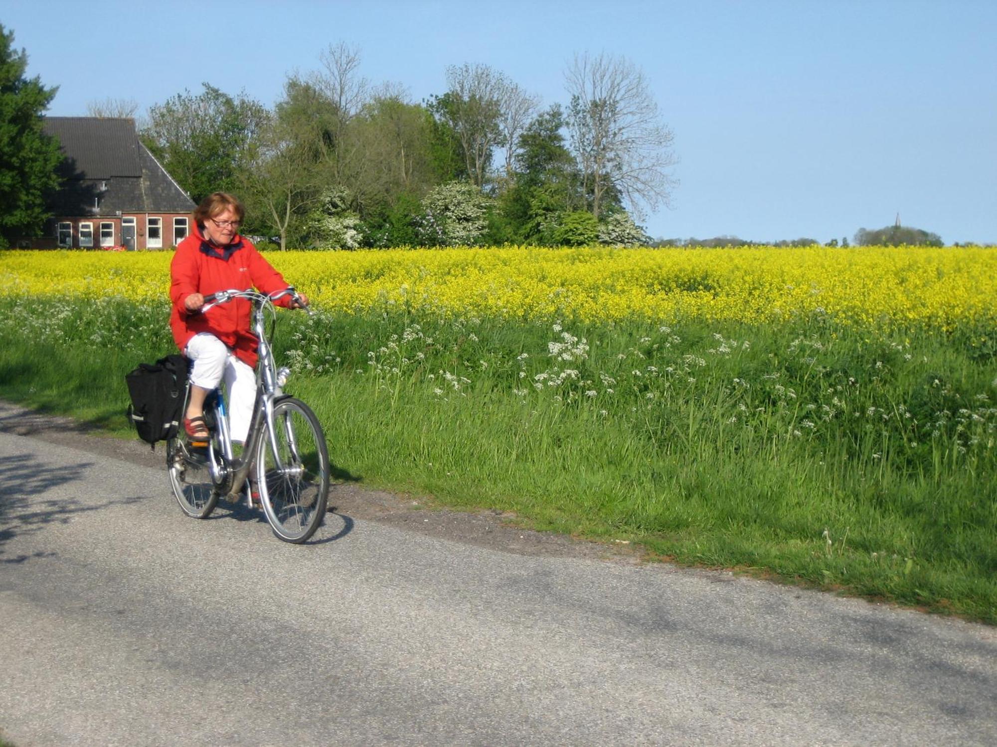 Bed and Breakfast Finisterre Saaxumhuizen Exterior foto